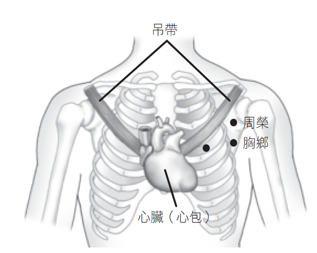Source figure from EPUB unit pulse-diagnosis:175