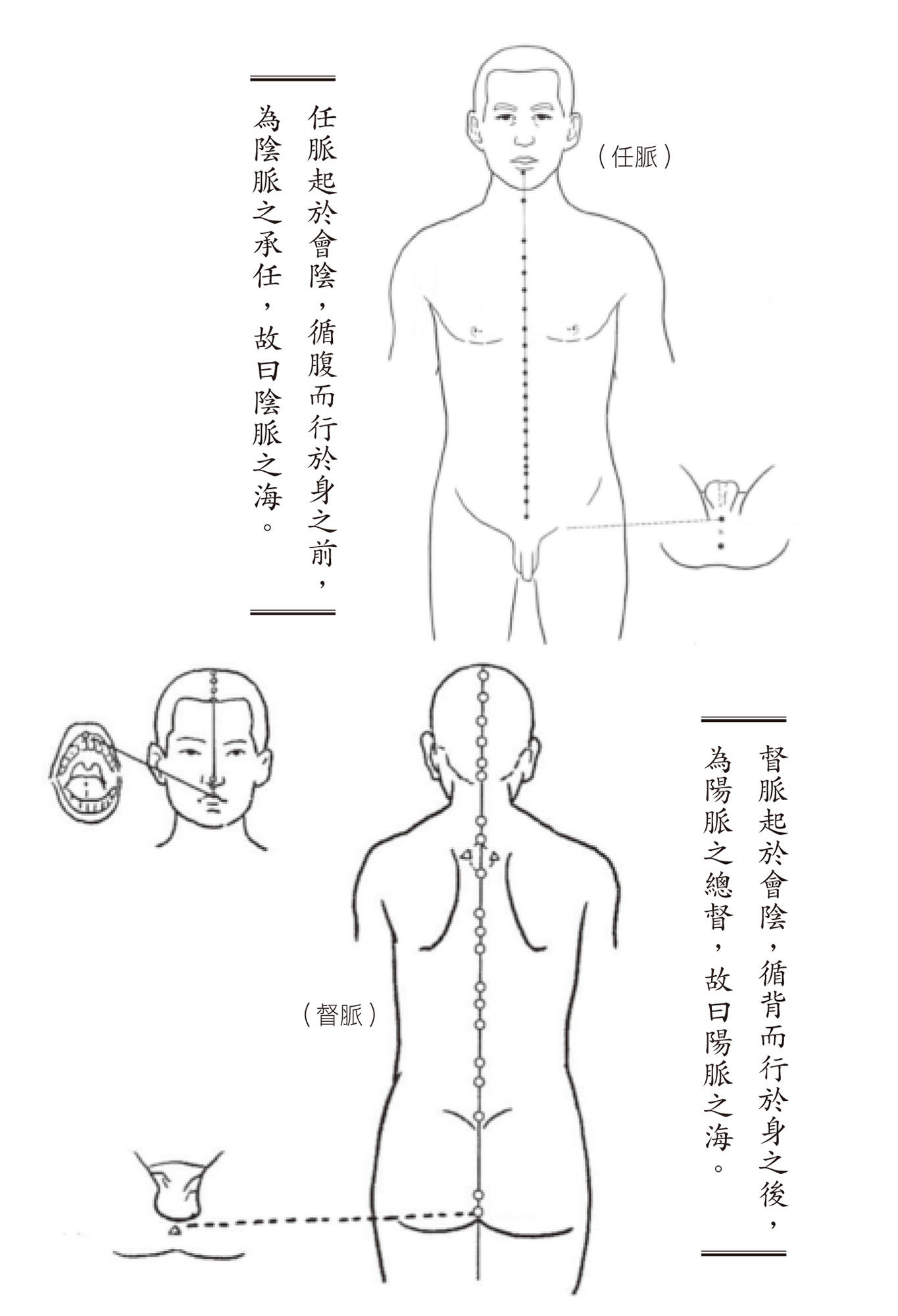 Source figure from EPUB unit pulse-diagnosis:194