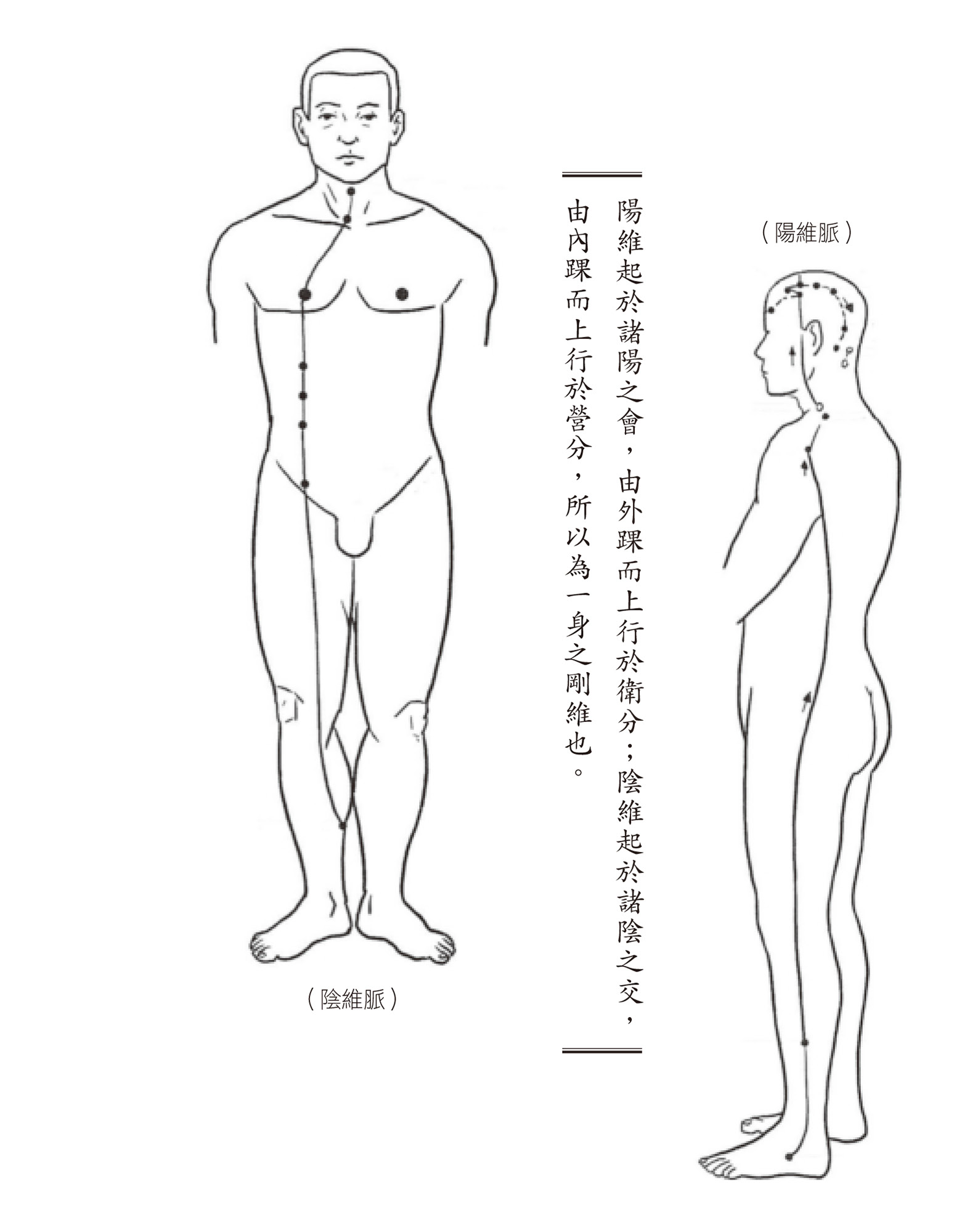 Source figure from EPUB unit pulse-diagnosis:194