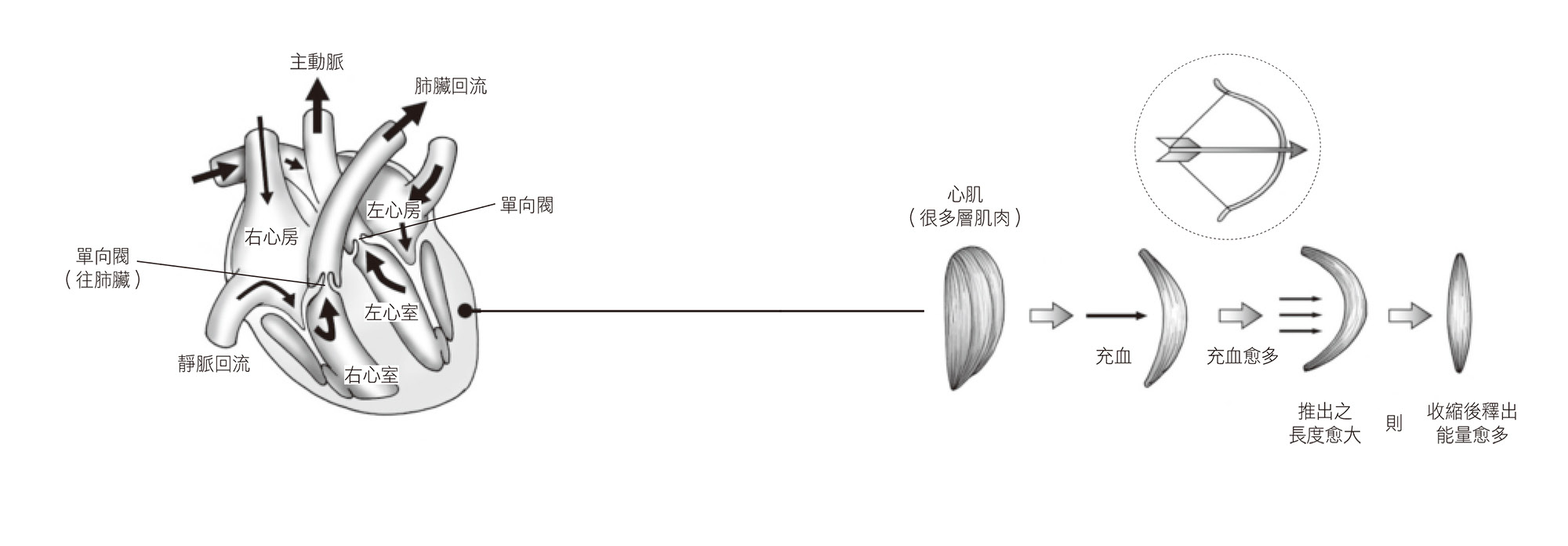 Source figure from EPUB unit pulse-diagnosis:199