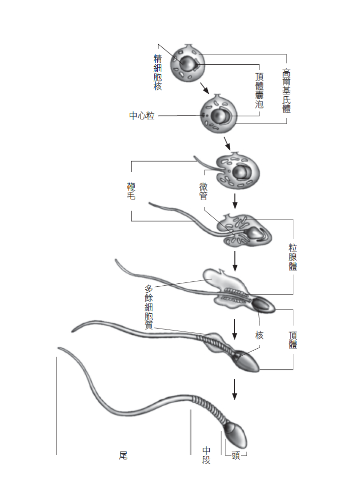 Source figure from EPUB unit pulse-diagnosis:205