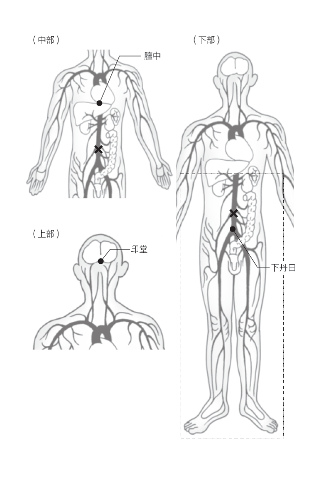 Source figure from EPUB unit pulse-diagnosis:223