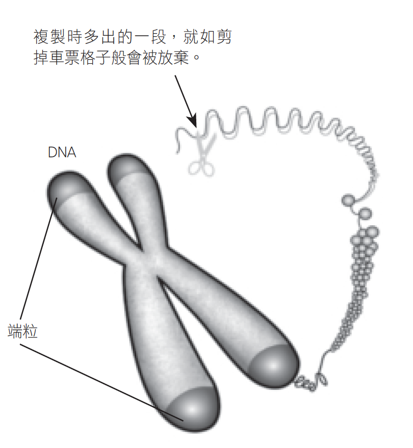Source figure from EPUB unit pulse-diagnosis:32