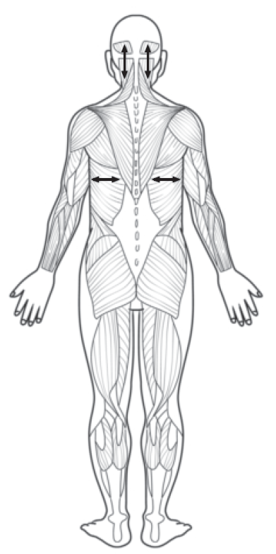 Source figure from EPUB unit pulse-diagnosis:37
