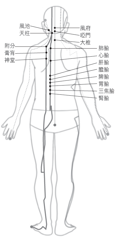 Source figure from EPUB unit pulse-diagnosis:37