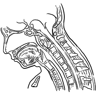 Source figure from EPUB unit pulse-diagnosis:69