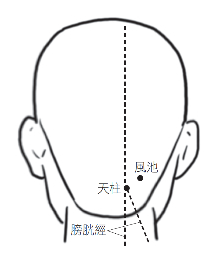 Source figure from EPUB unit pulse-diagnosis:69
