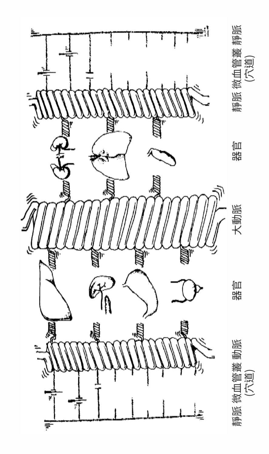 Source figure from EPUB unit qiyuezheng:99