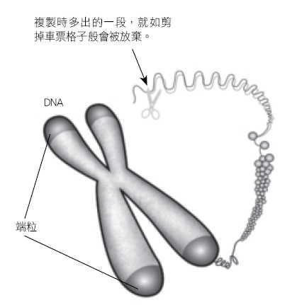Source figure from EPUB unit yimaiweishi:8
