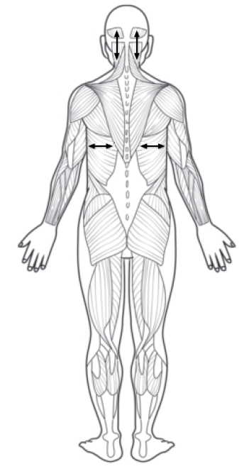 Source figure from EPUB unit yimaiweishi:8