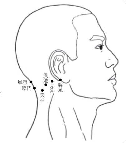 Source figure from EPUB unit yimaiweishi:8