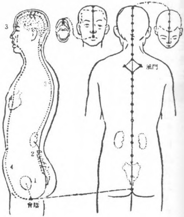 Original vessel diagram placed before the Conception Vessel description