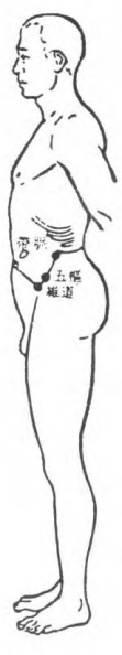 Figure 4: Belt Vessel