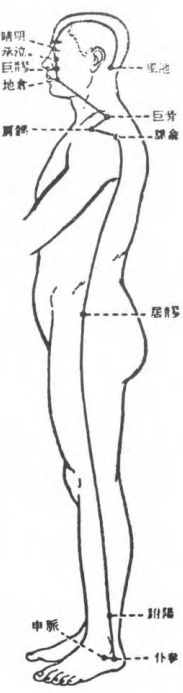 Figure 5: Yang Heel Vessel