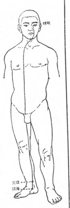 Figure 6: Yin Heel Vessel