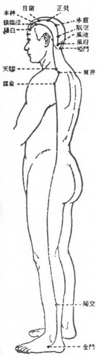 Figure 7: Yang Linking Vessel